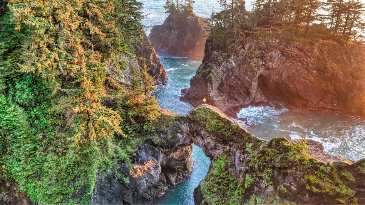 Natural Bridges Viewpoint