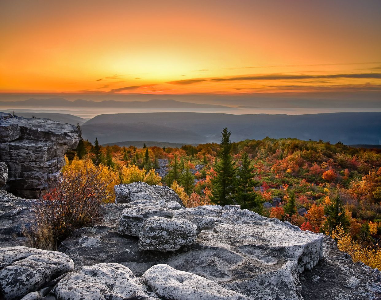 Dolly Sods Wilderness