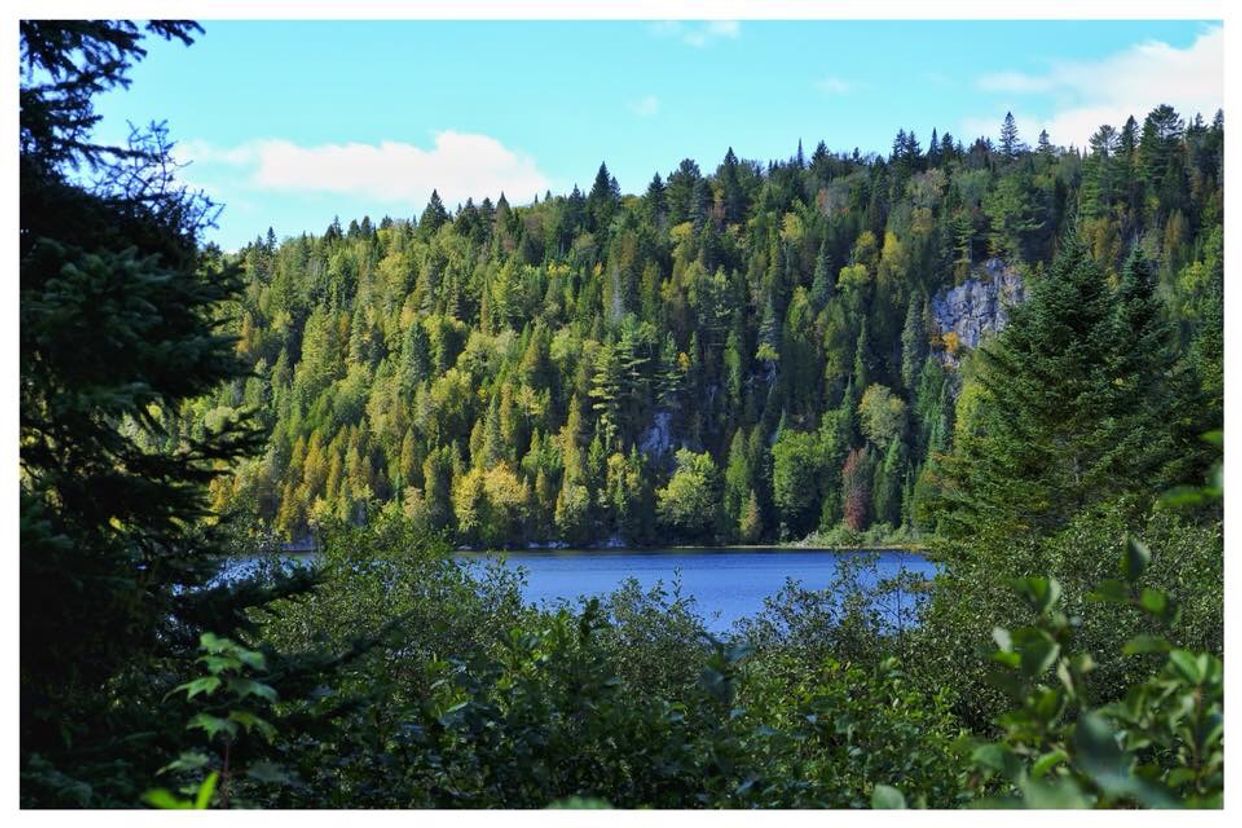 Lac Wapizagonke View