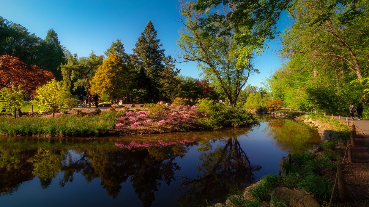 Brookside Gardens