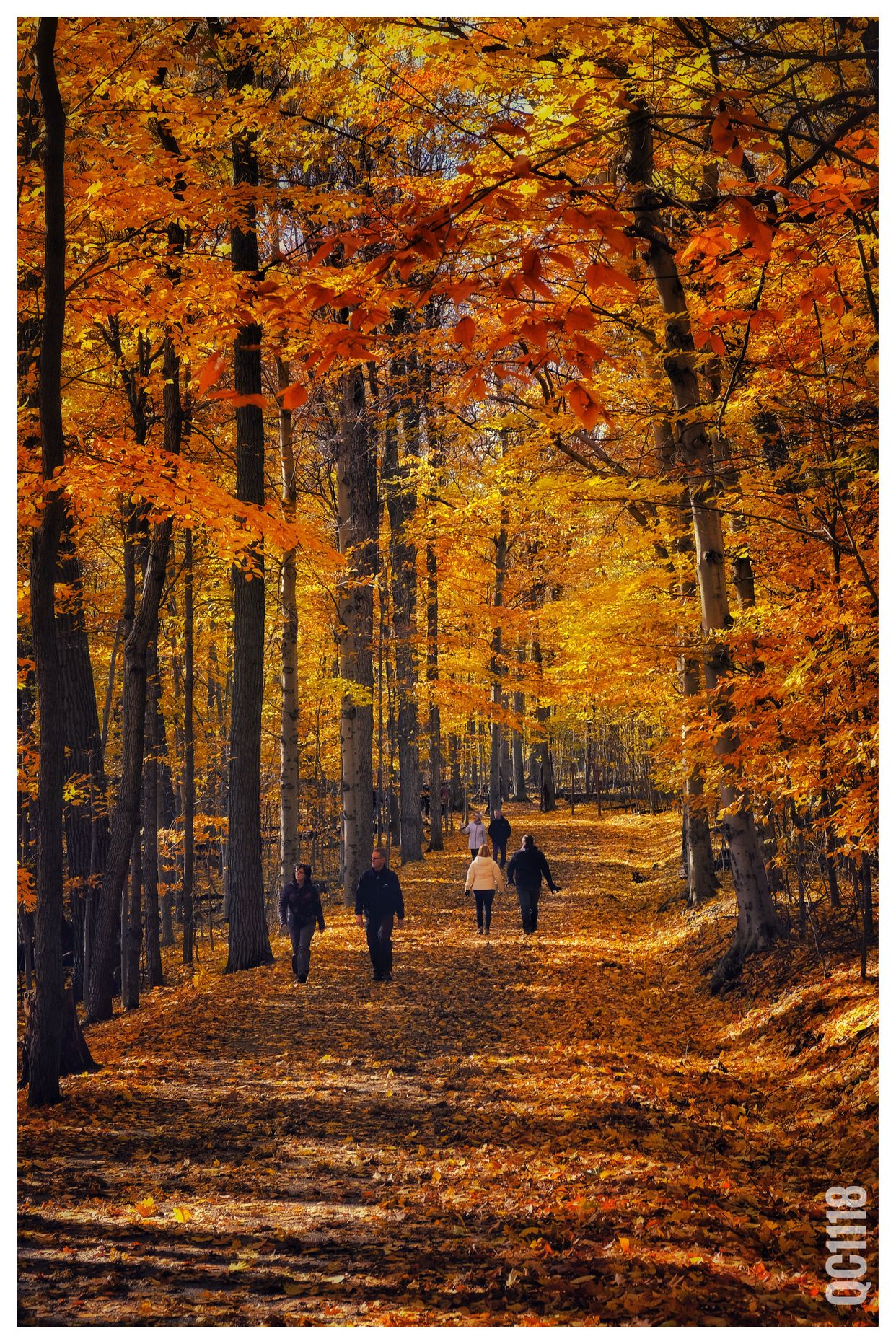 Mont-Saint-Bruno National Park