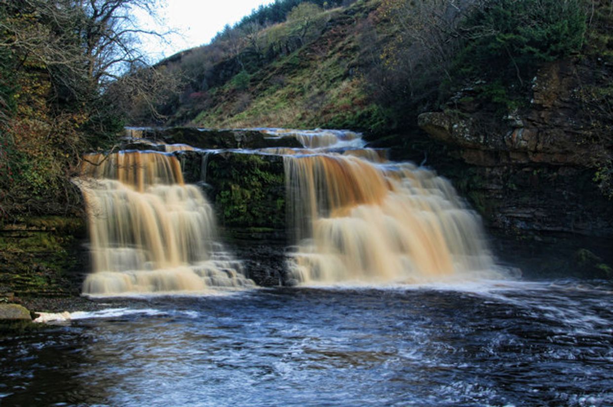 Crammel Linn
