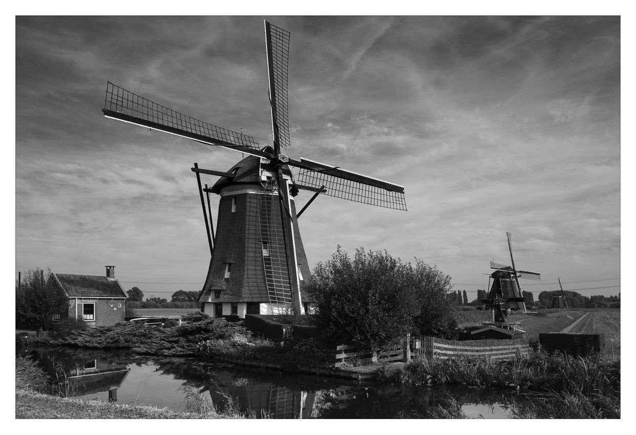 Tweemanspolder Windmills