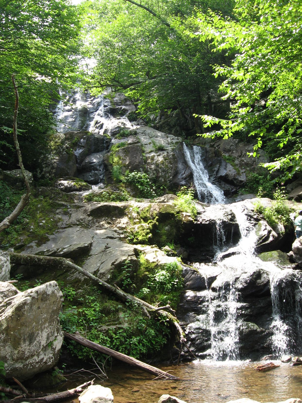 Dark Hollow Falls 