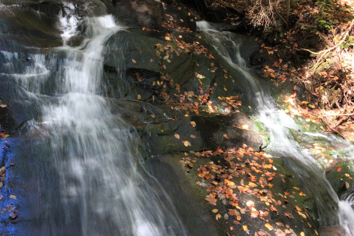 Fall Branch Falls