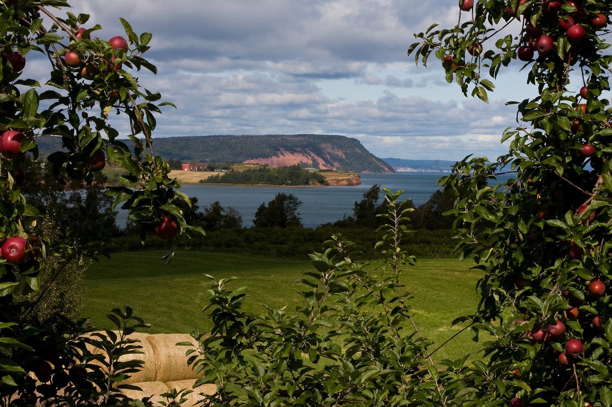 Bay of Fundy Viewpoint