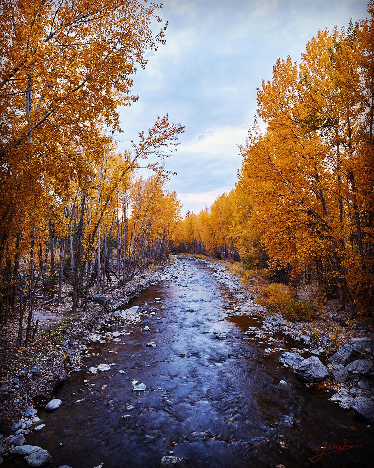 Mission Creek