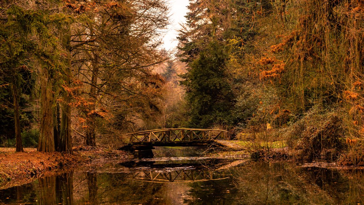 Arboretum Simeria