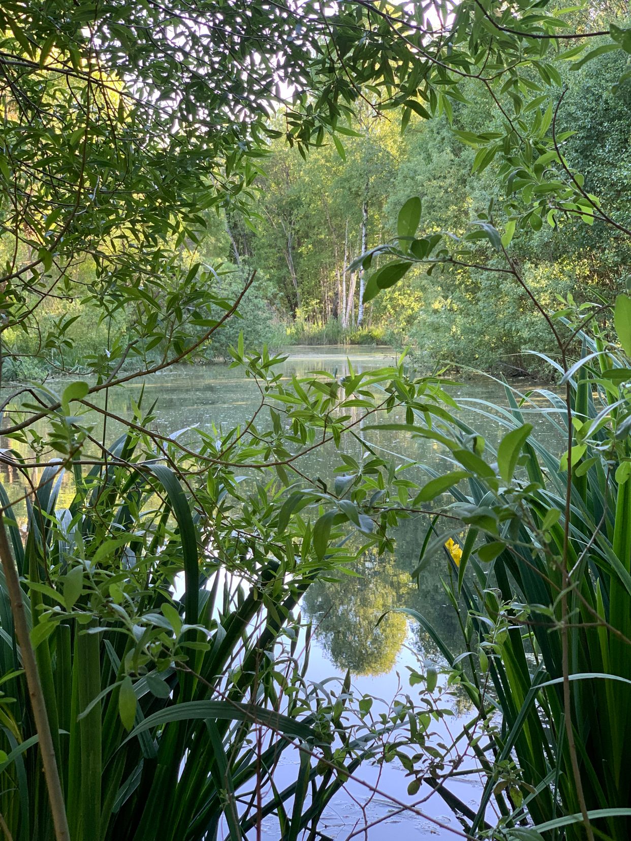 Slätmossens Naturpark