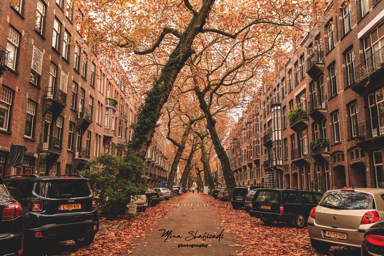 Lomanstraat