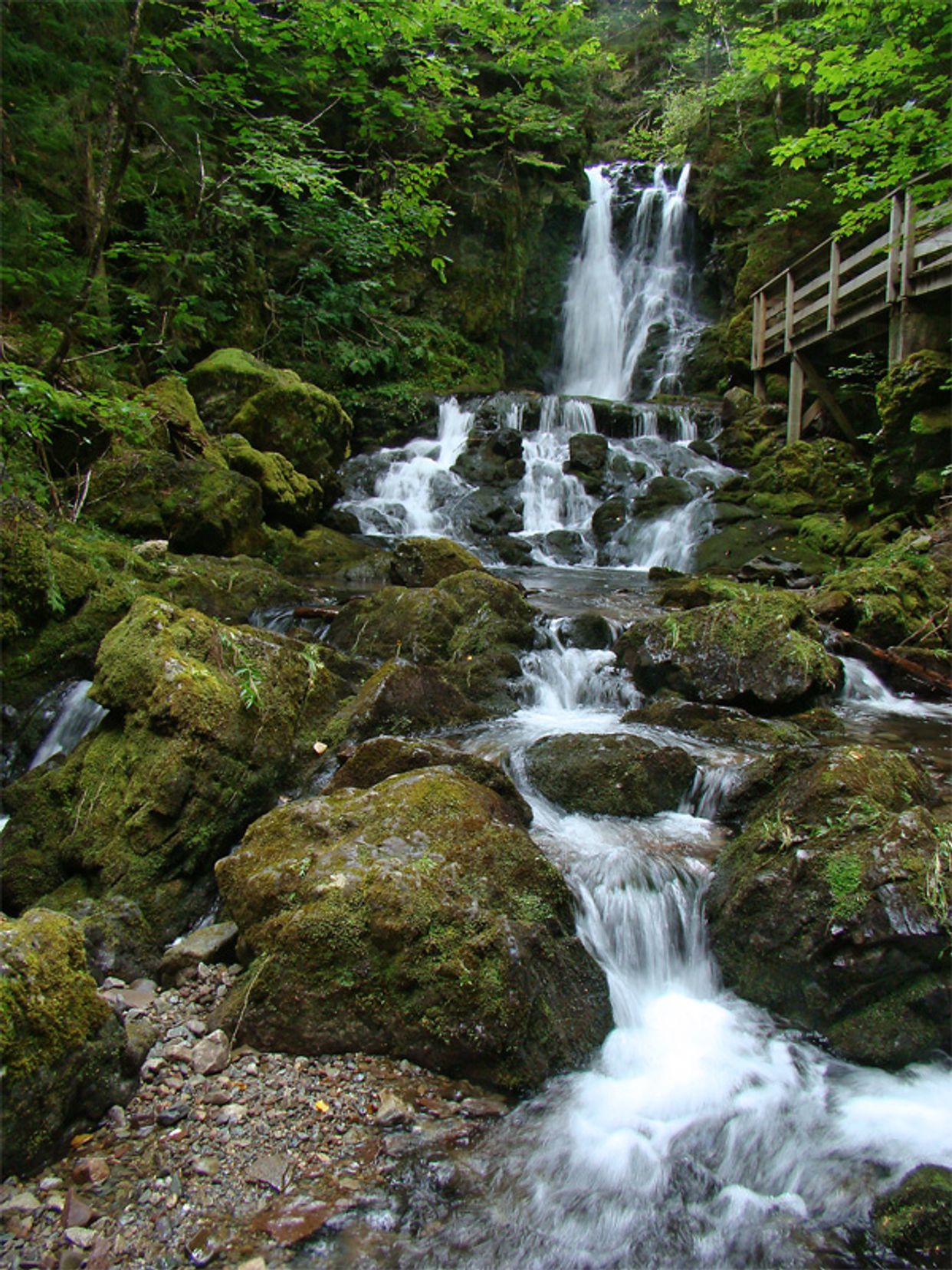 Dickson Falls