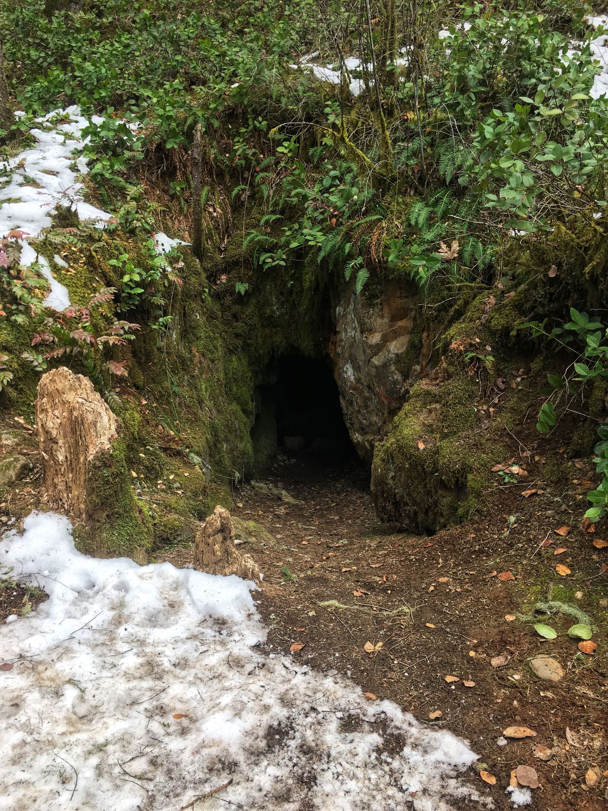 Goldstream Gold Mine