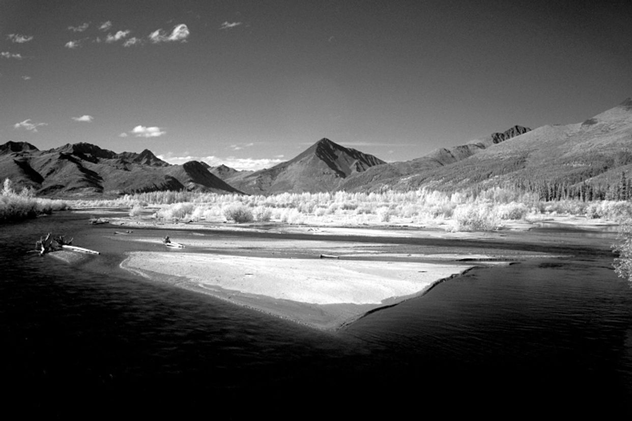 Tok River Viewpoint - Photo by Andrew Sawyer