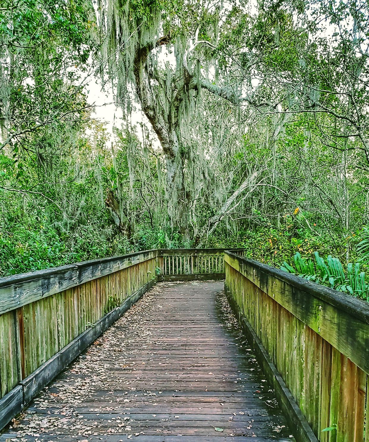 Sawgrass Lake Park