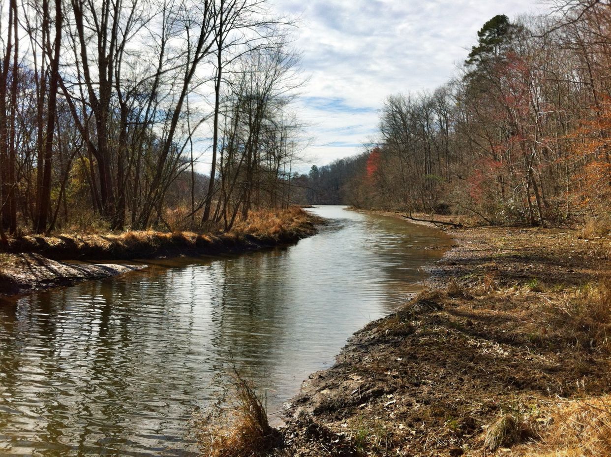 Gold Branch Trail