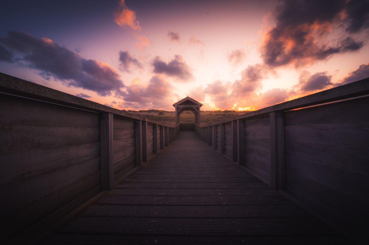 Hondsbossche Duinpad - Photo by @endstraphoto