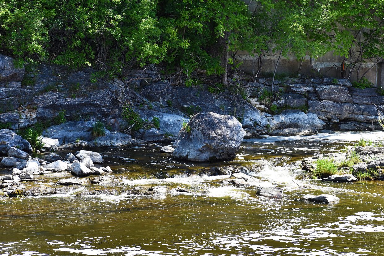 Hog's Back Park