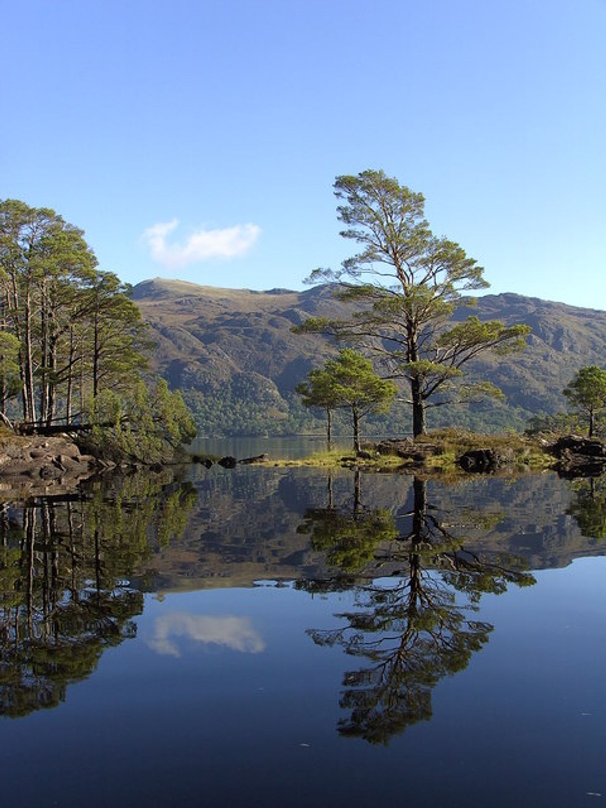 Loch Maree