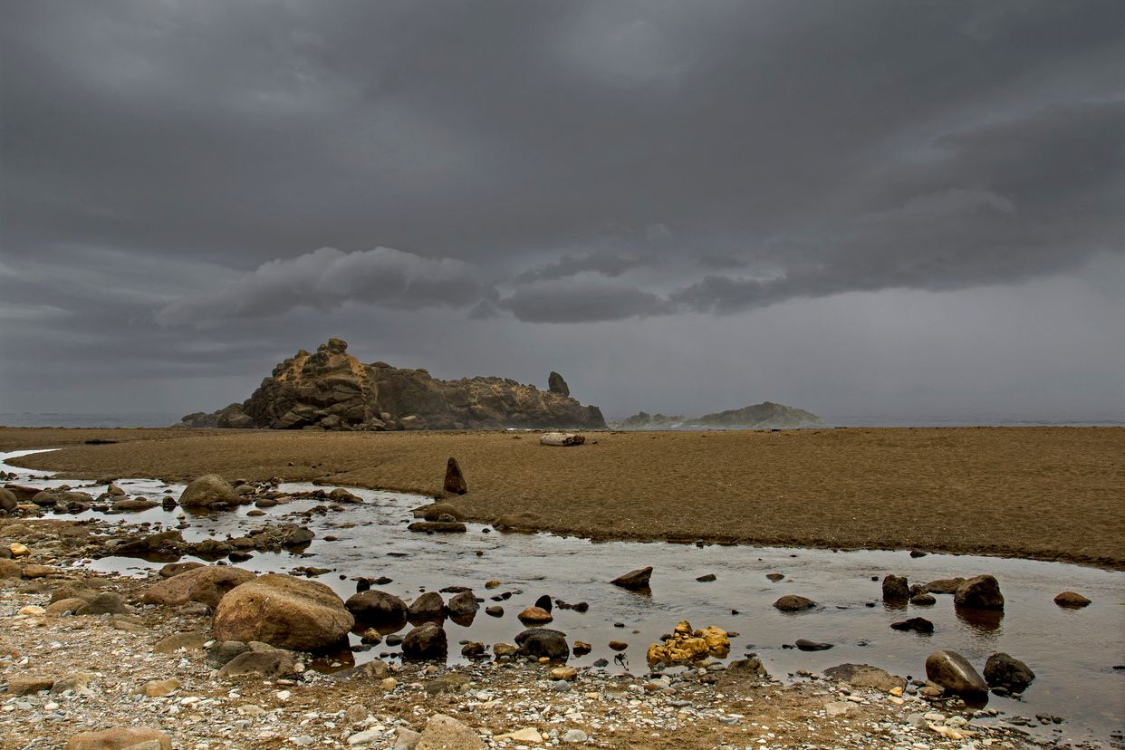 Fogarty Creek Beach