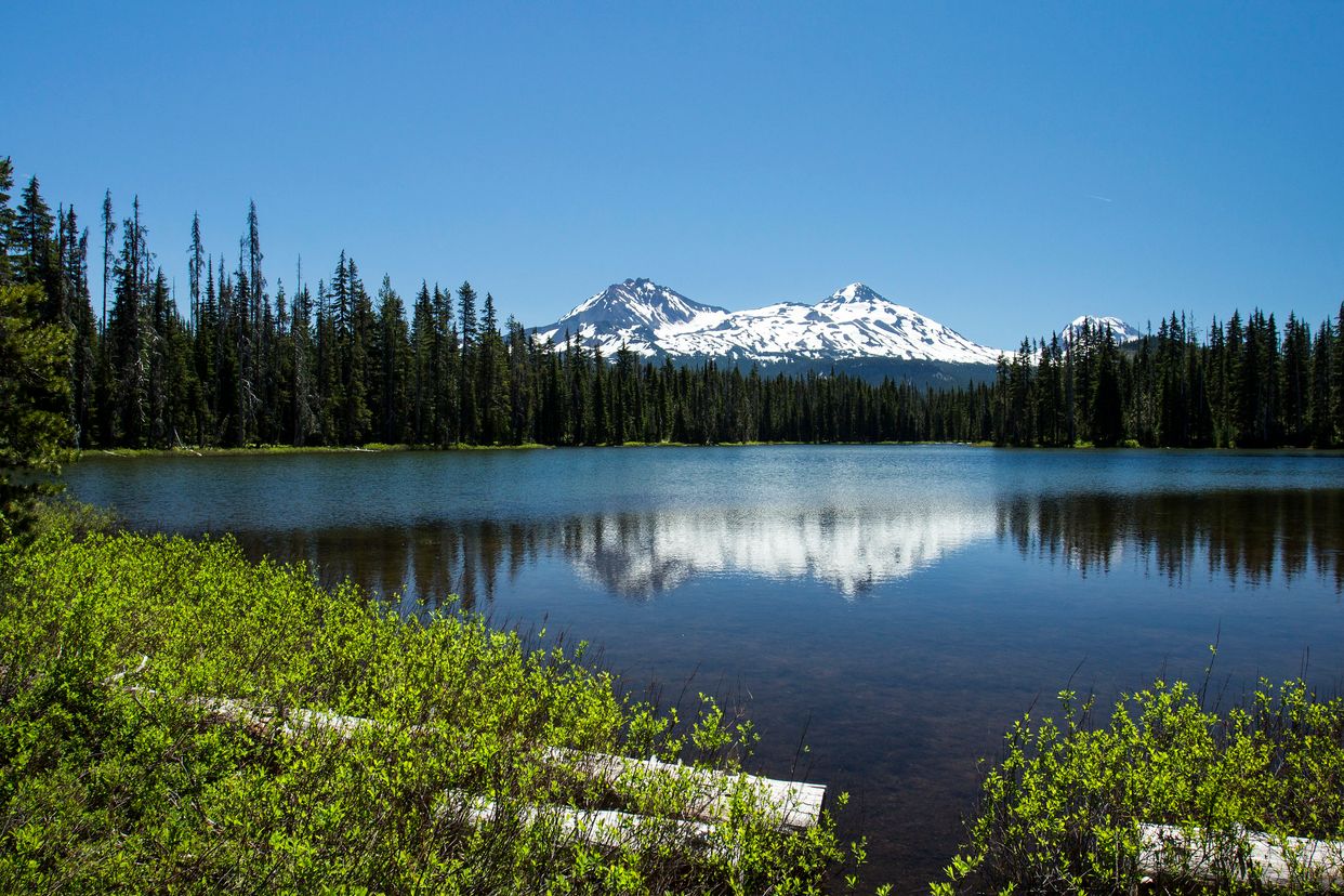 Scott Lake