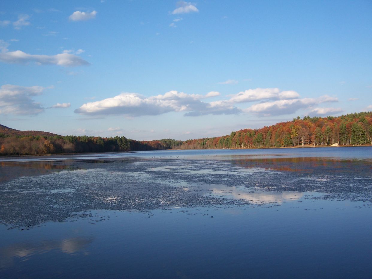 Moncove Lake 