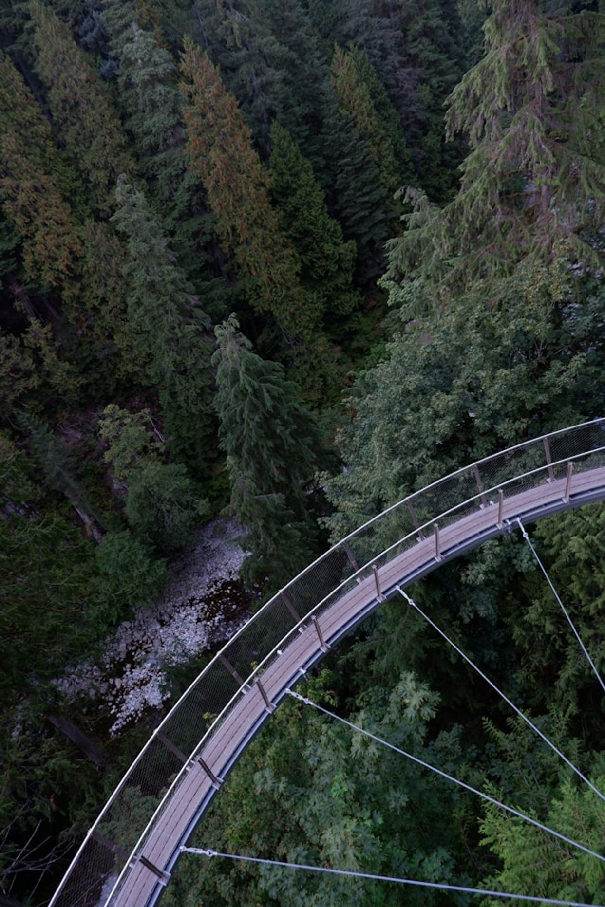 Capilano Suspension Bridge Park