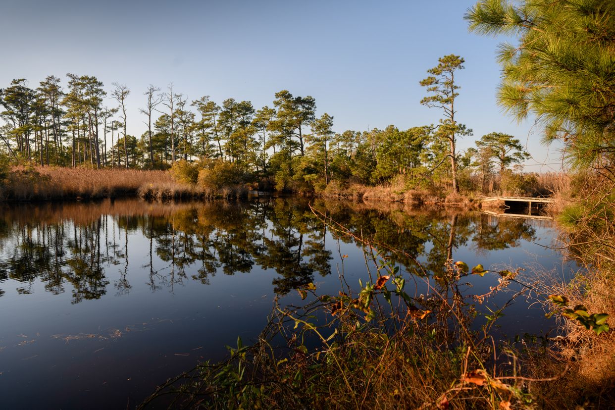 Great Marsh Trail