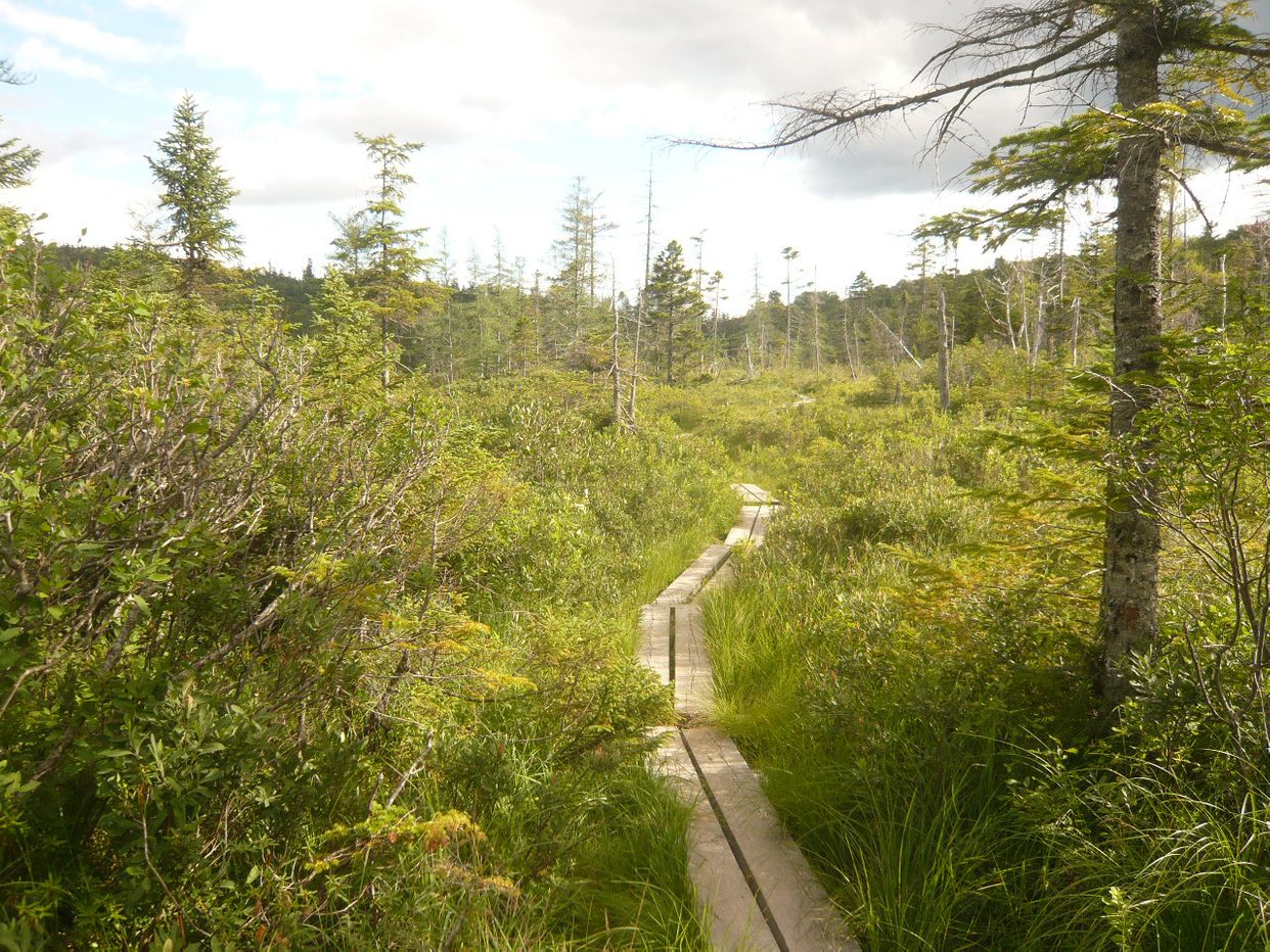 Lonesome Lake Trail 