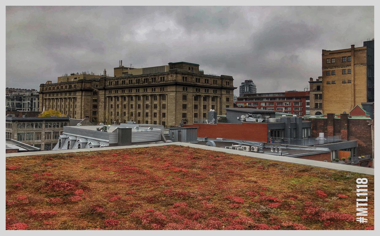 Centre Phi Terrace View