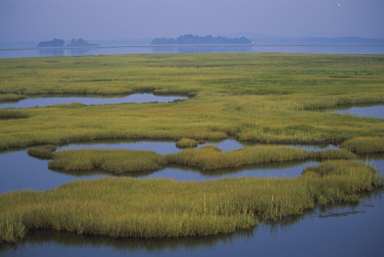 Parker River National Wildlife Refuge 