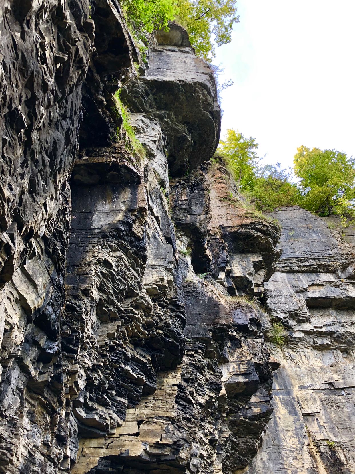 Indian Ladder Trail - Thacher State Park