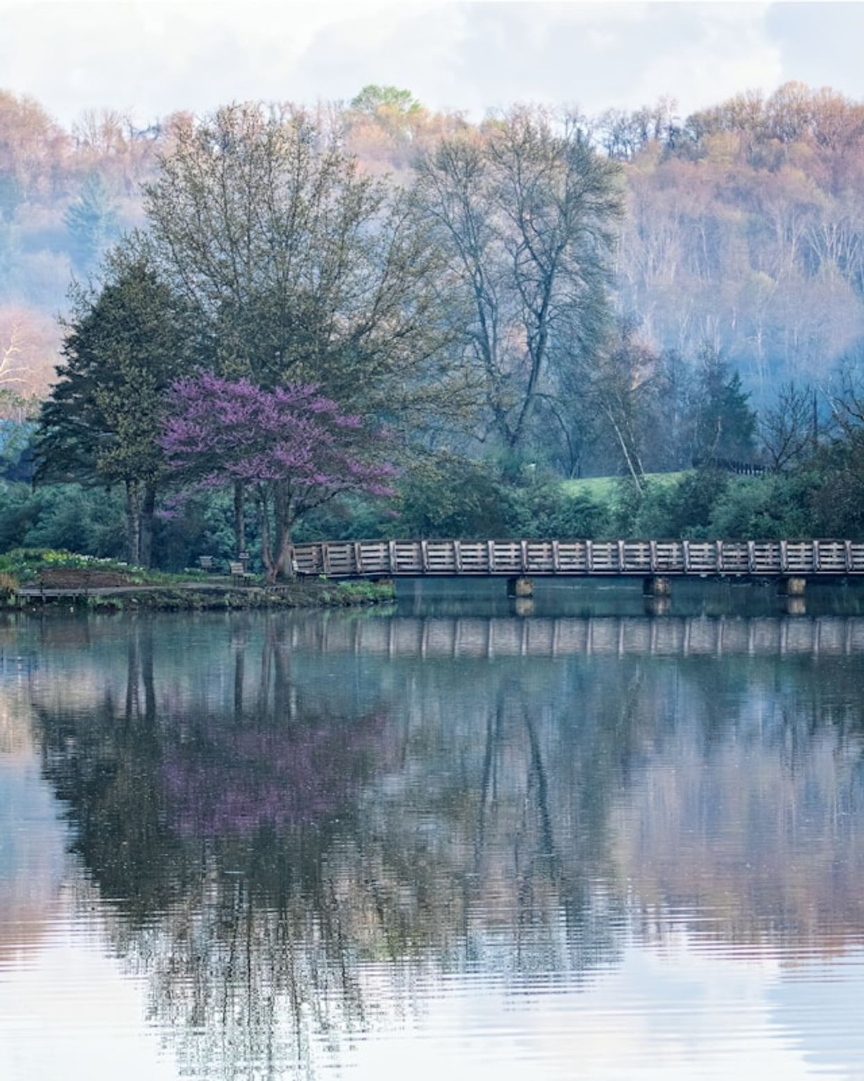 Marshall Lake