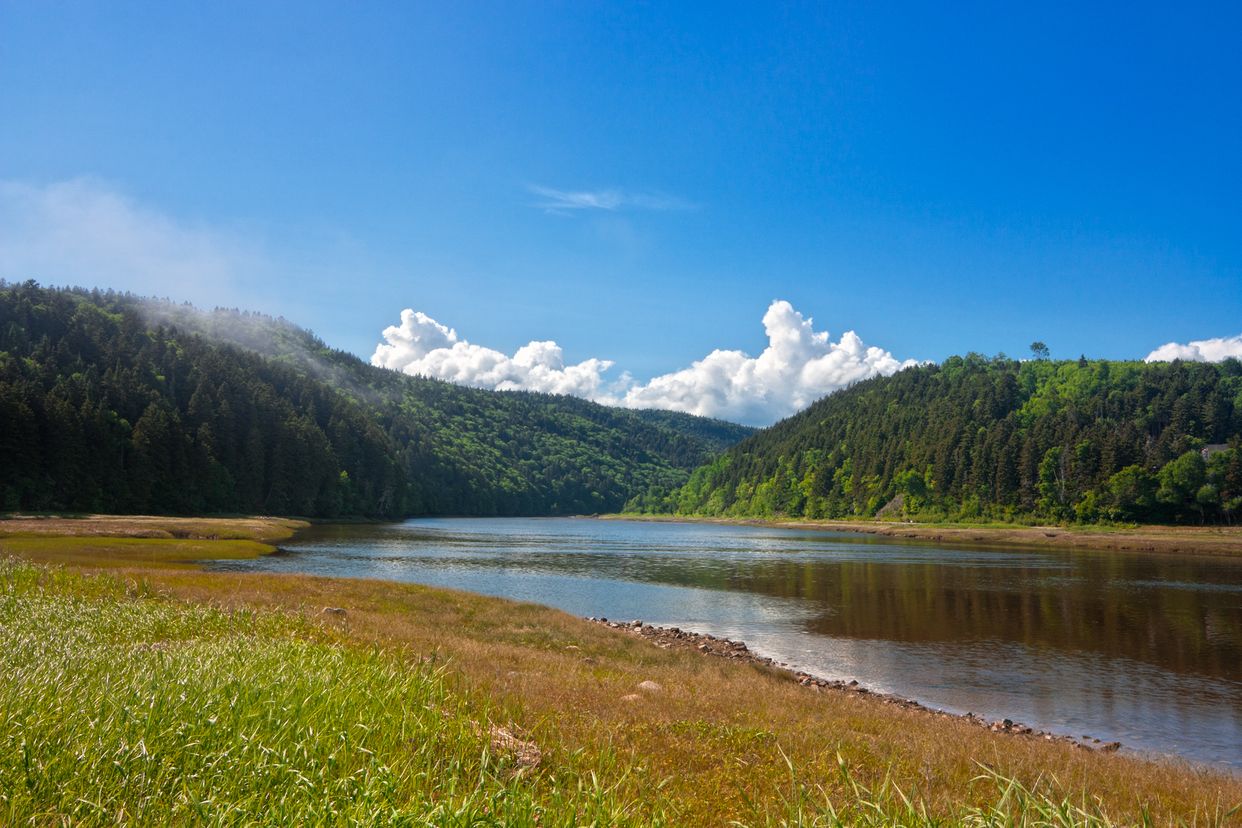 Fundy Park Scenery