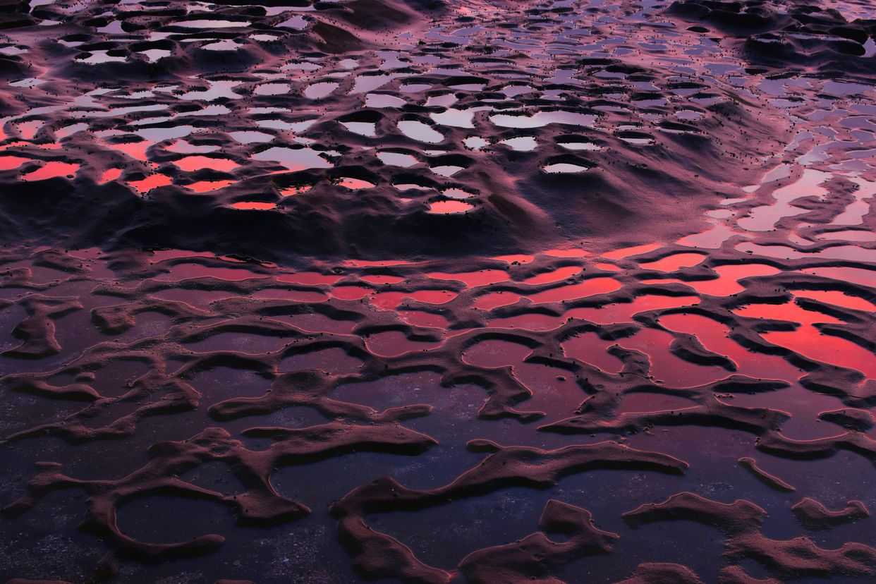 La Jolla Tide Pools