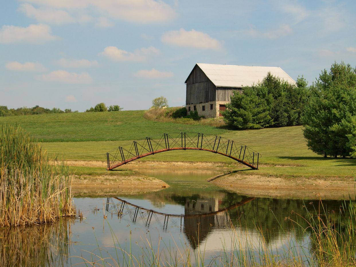 Scenic Farmland