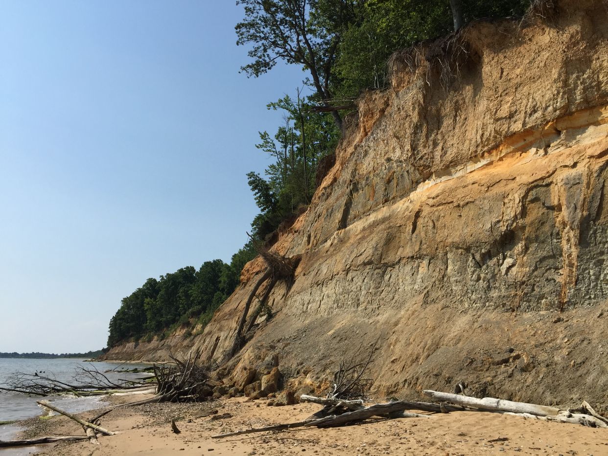 Calvert Cliffs