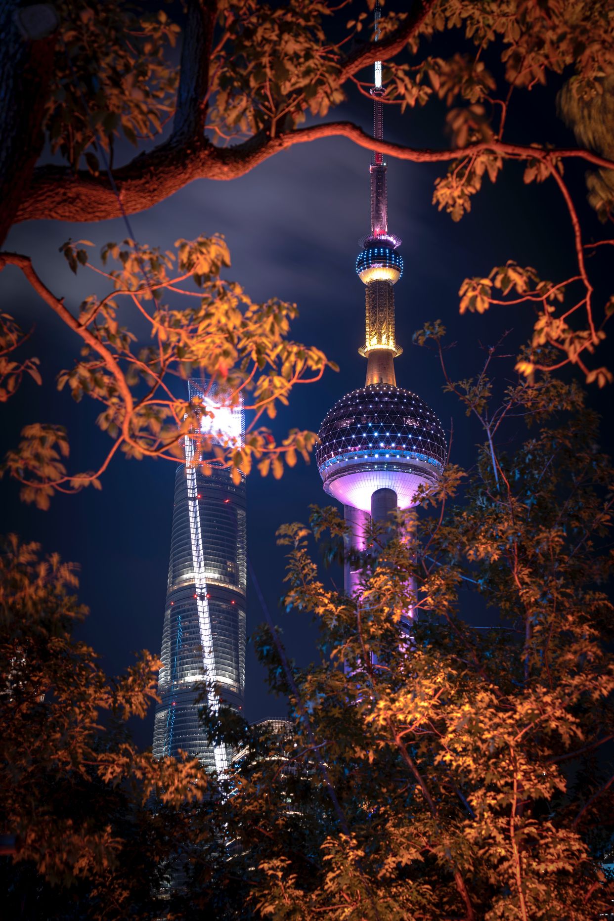 North Bund Green Land - Photo by Wenhao Ryan