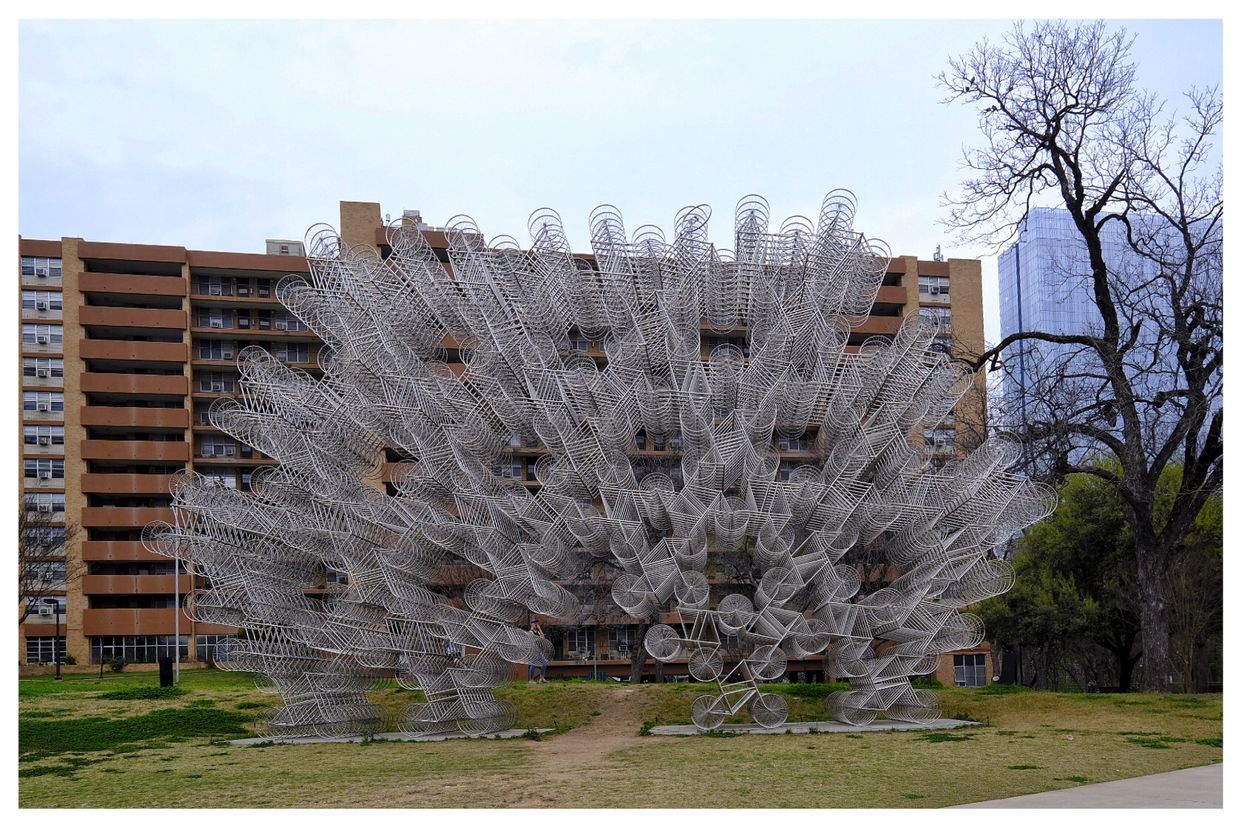 Forever Bicycles