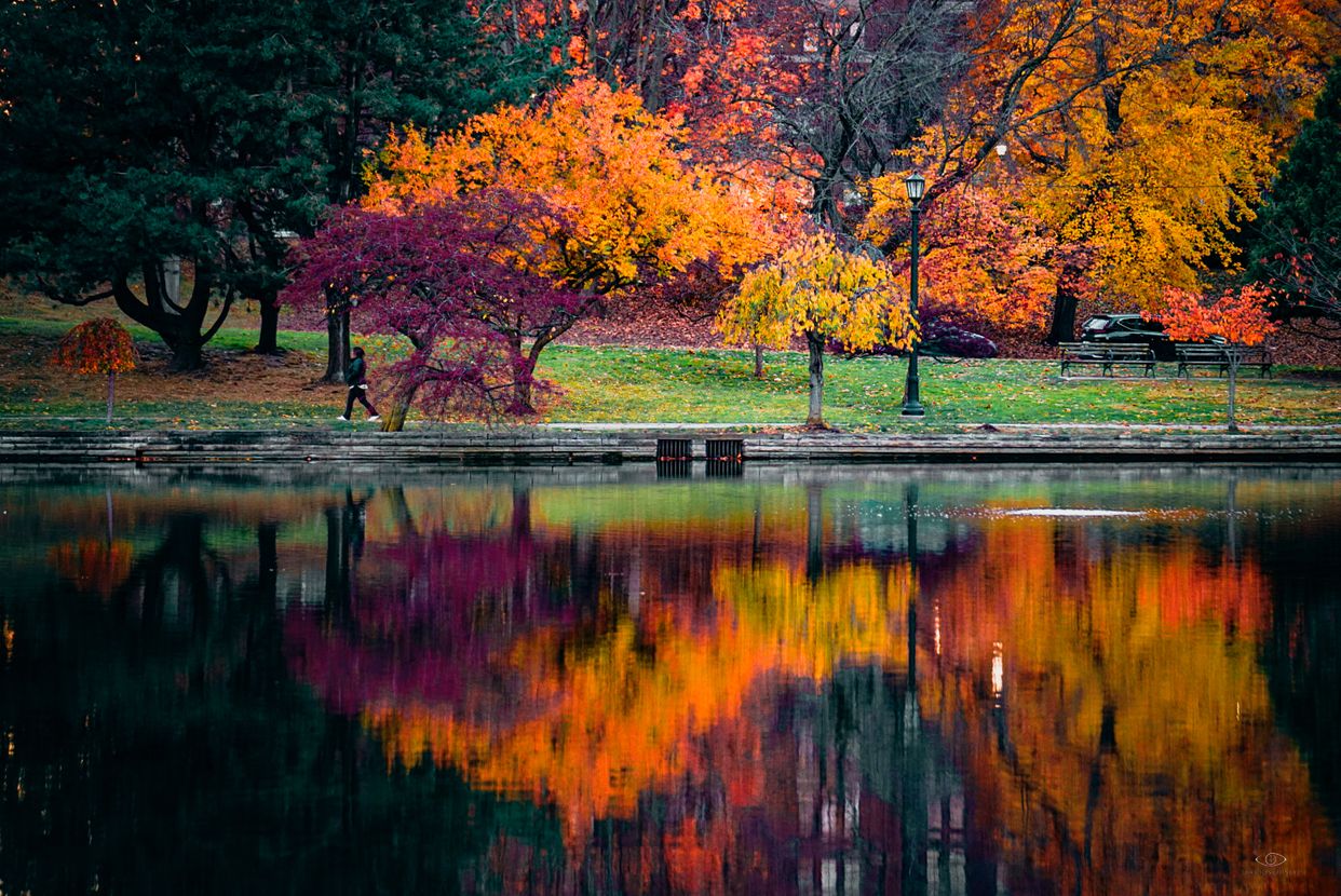 Wade Oval