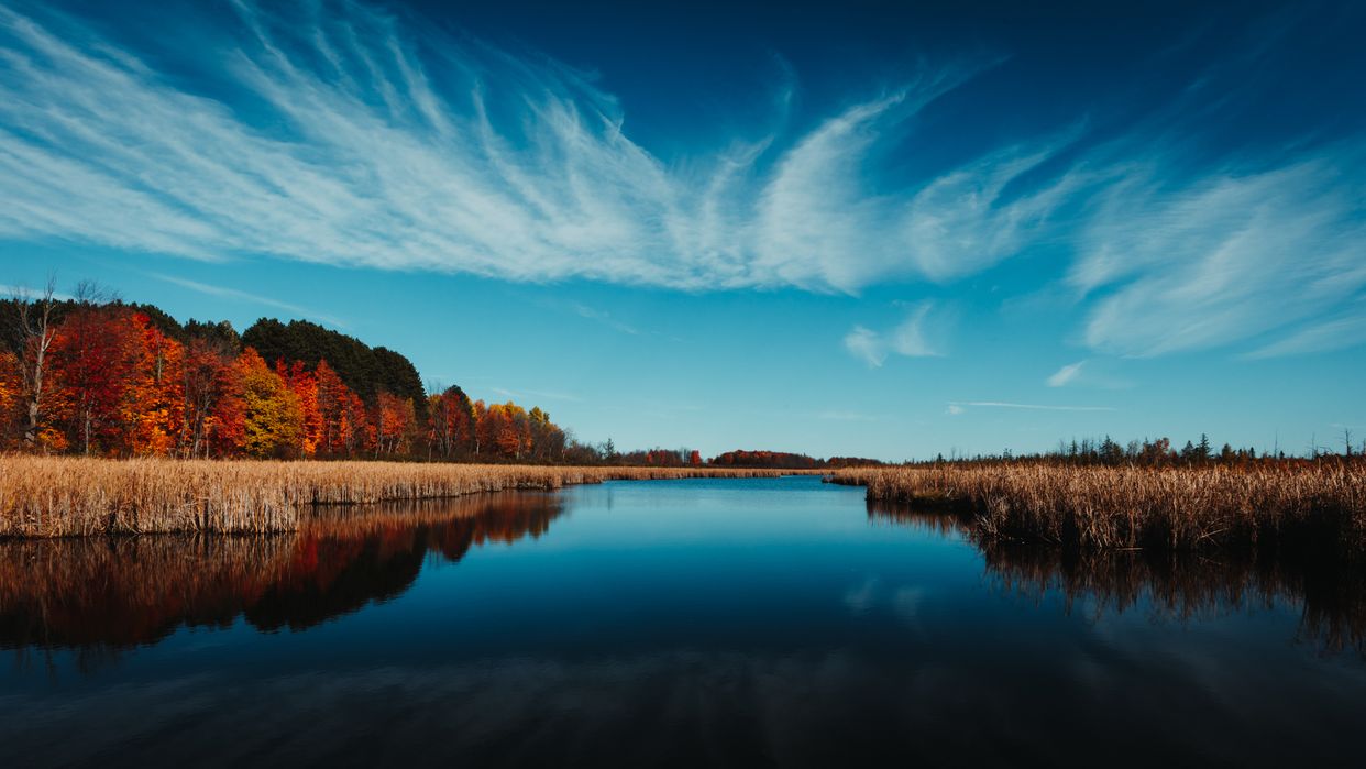 Mer Bleue Bog