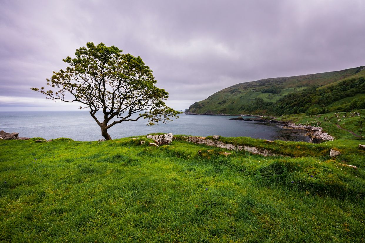 Murlough Bay
