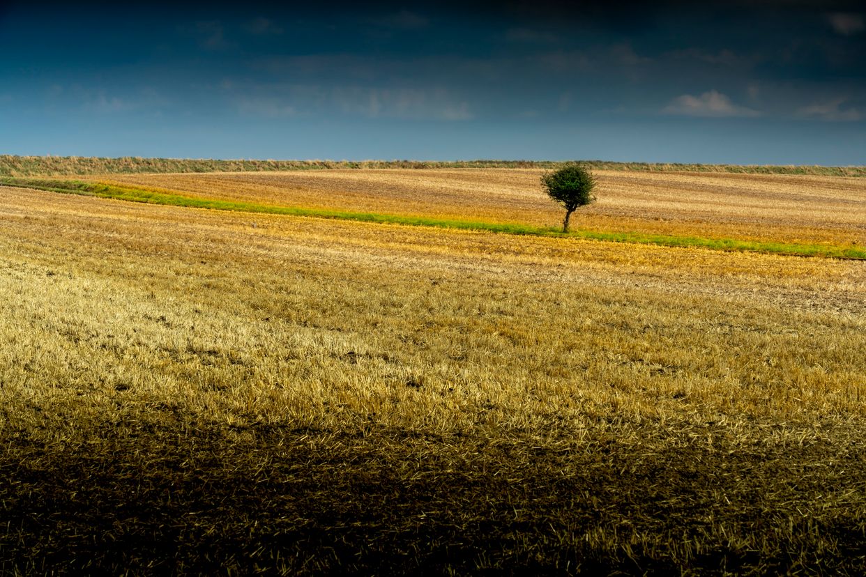 Welwick Rd Lone Tree