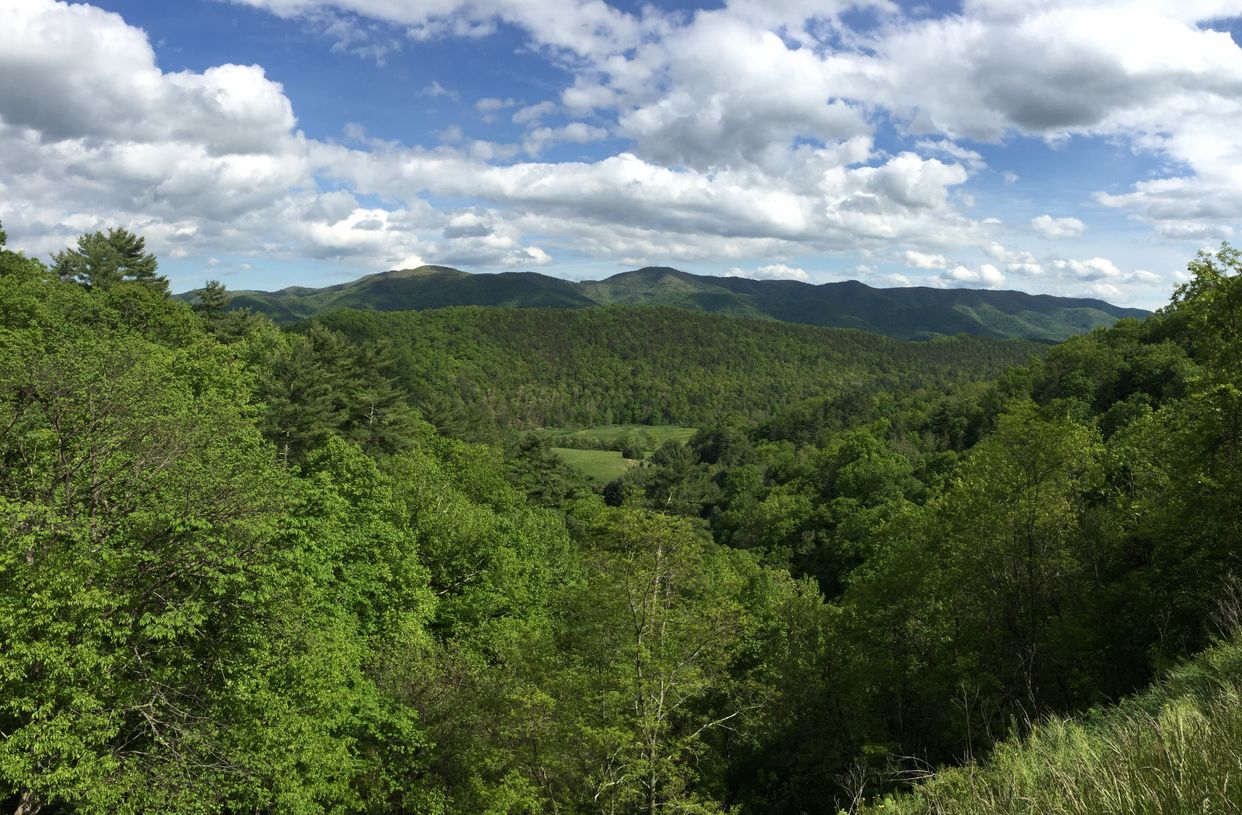Cowpasture River Valley