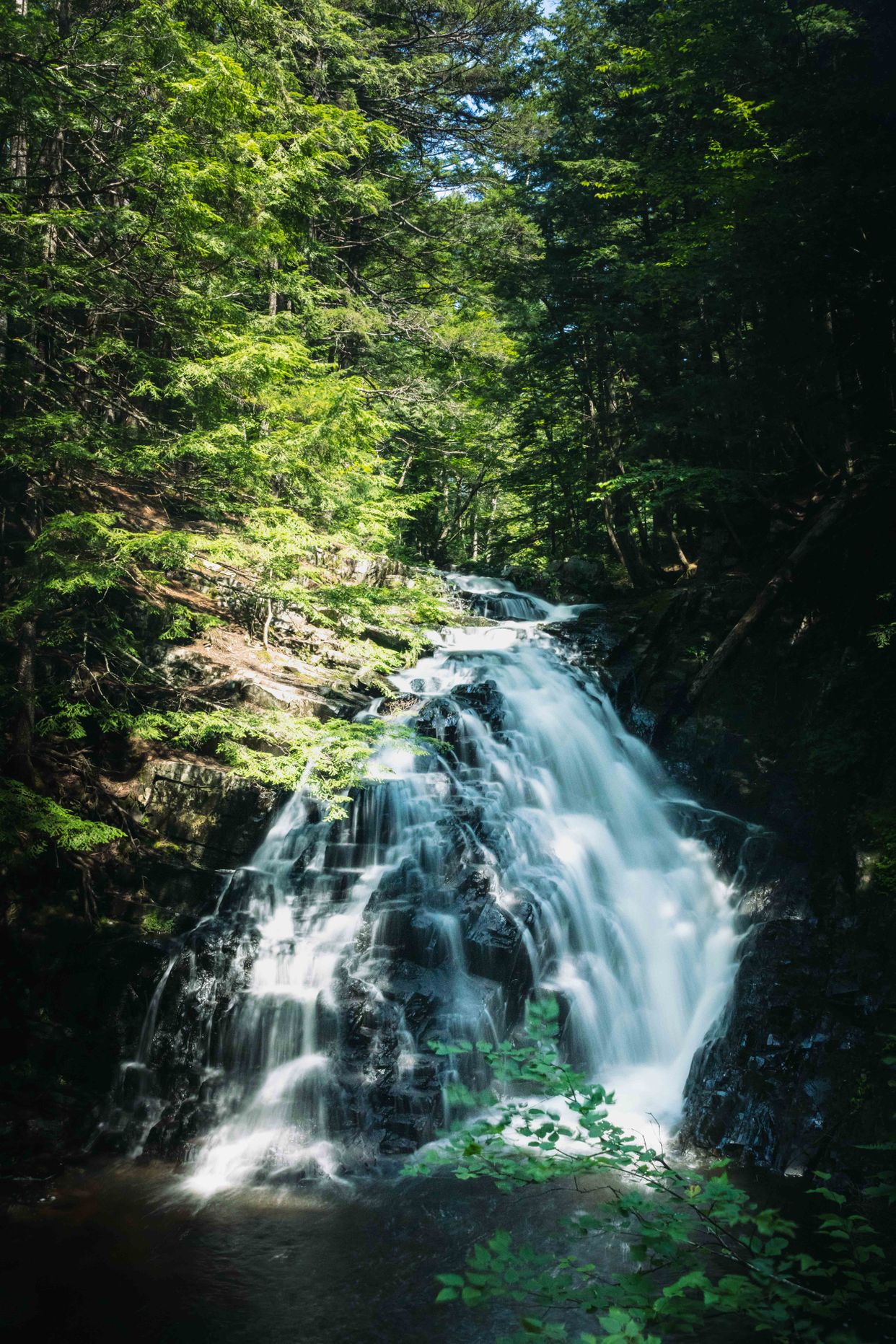 Dawson's Brook Waterfall