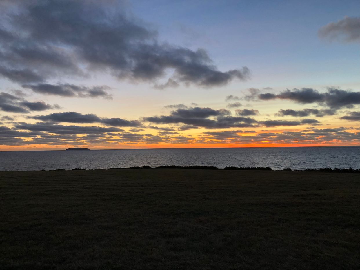Whale Cove Beach