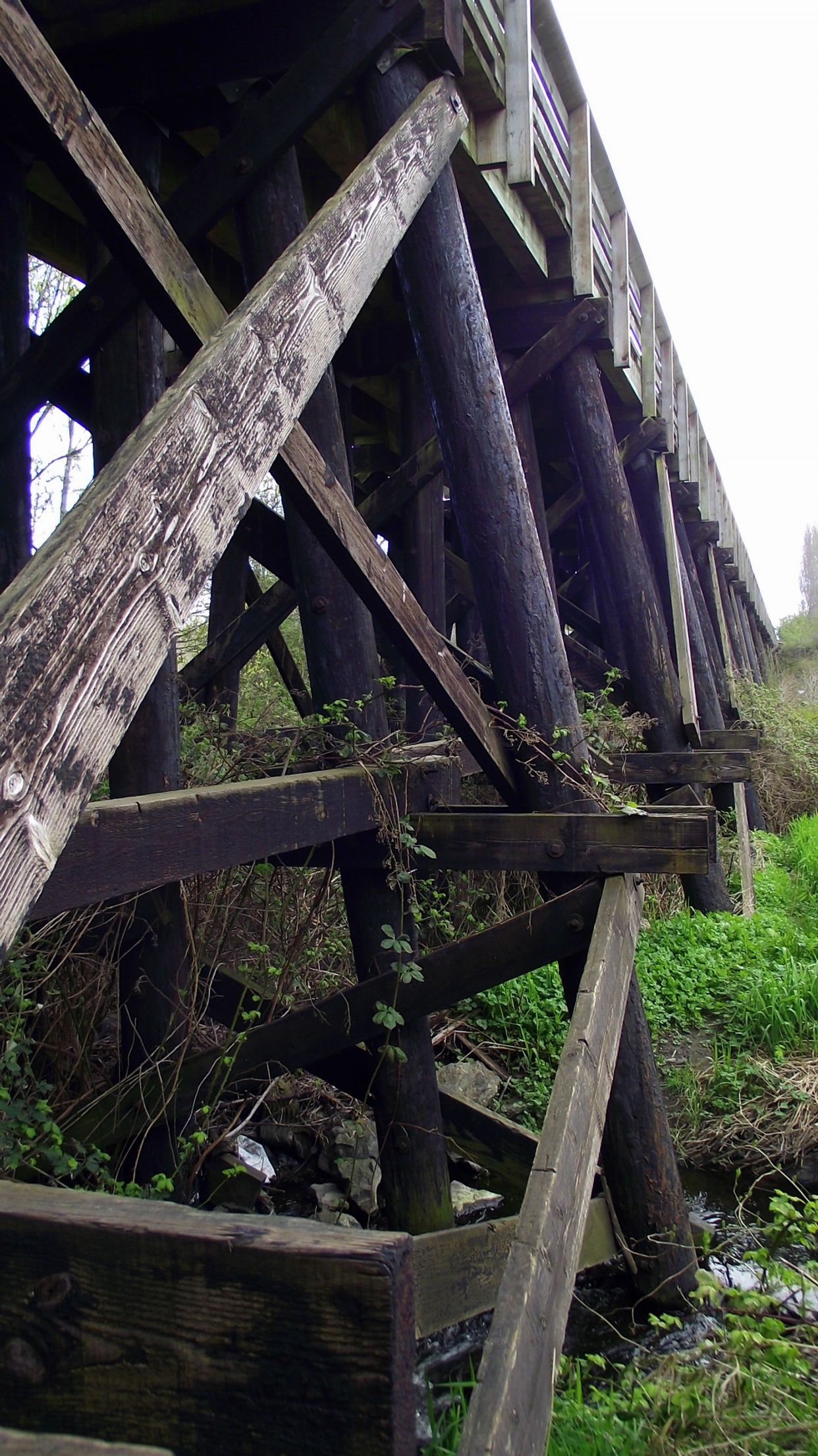 Former Train Trestle 
