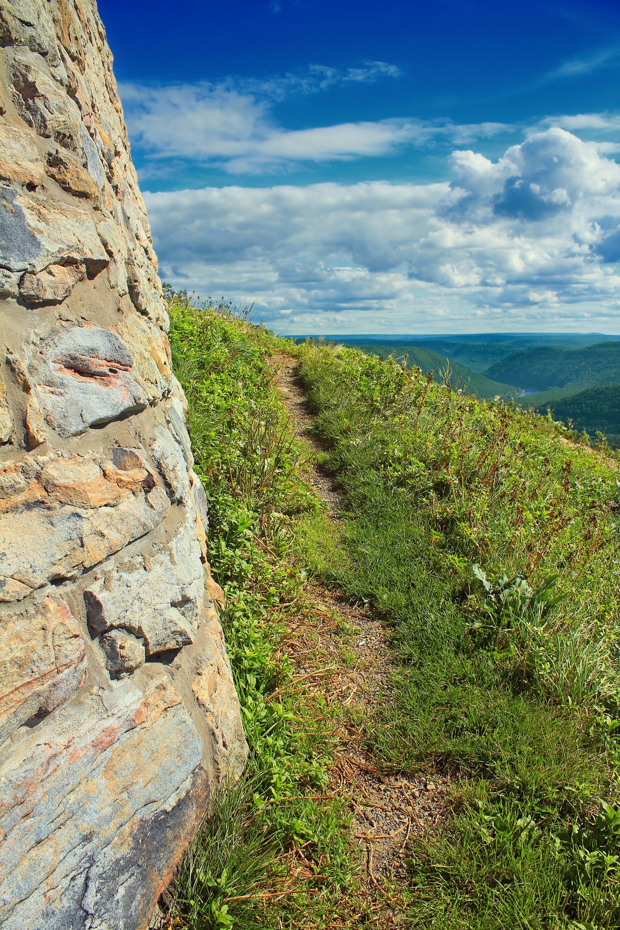 Observation Deck Trail