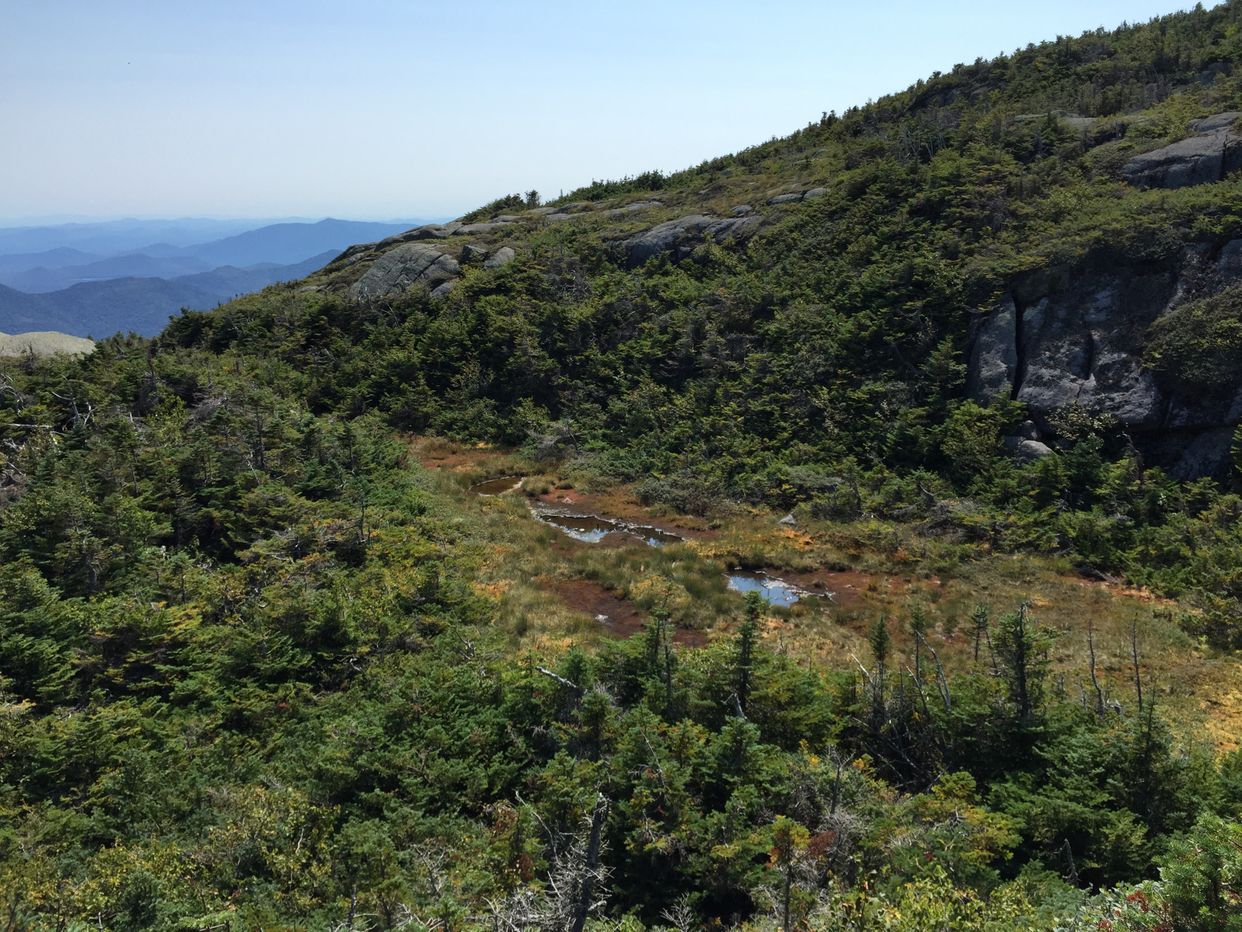 Van Hoevenberg Trail View
