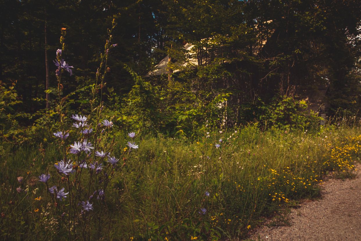 Abandoned Structure By Side of Road