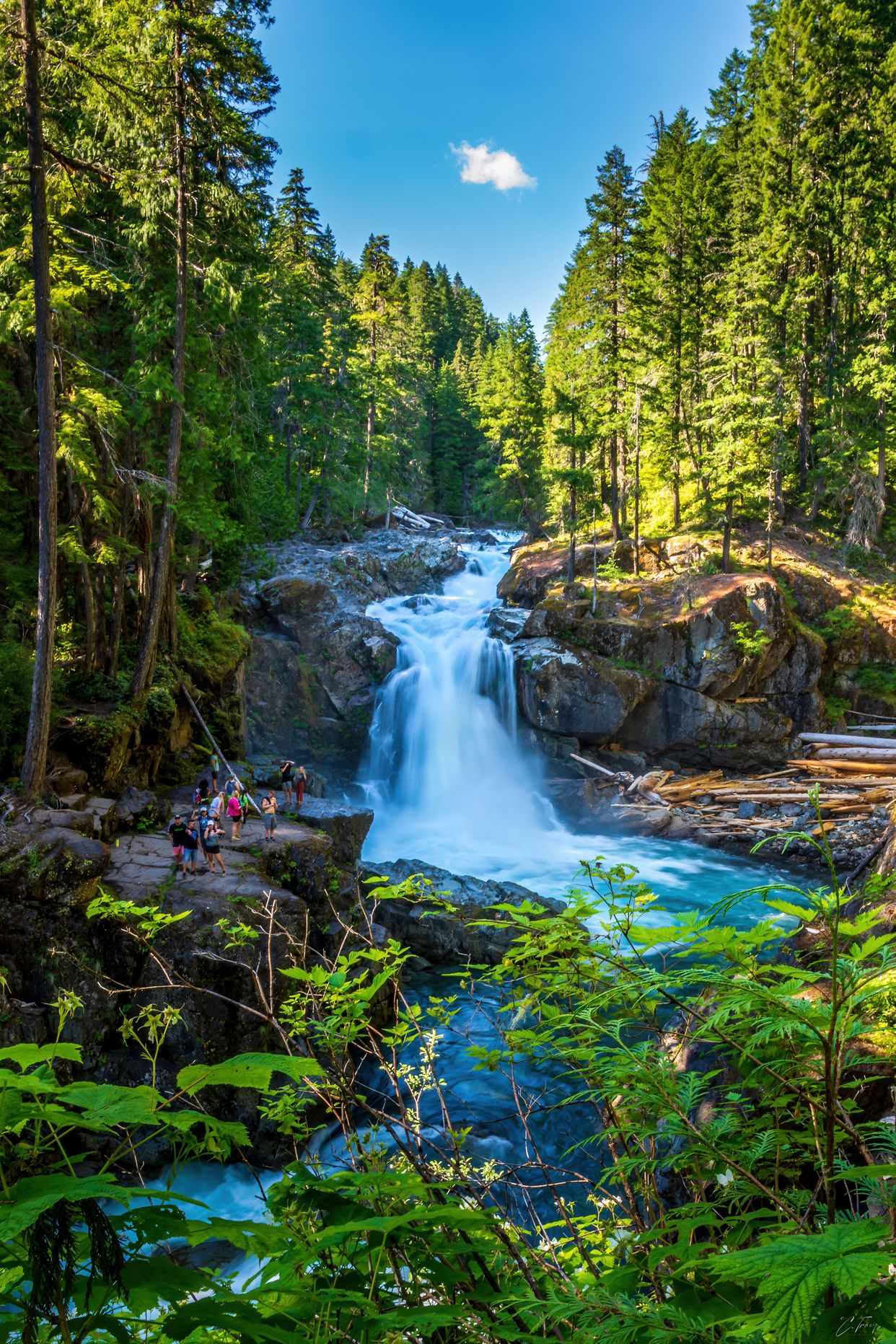 Silver Falls